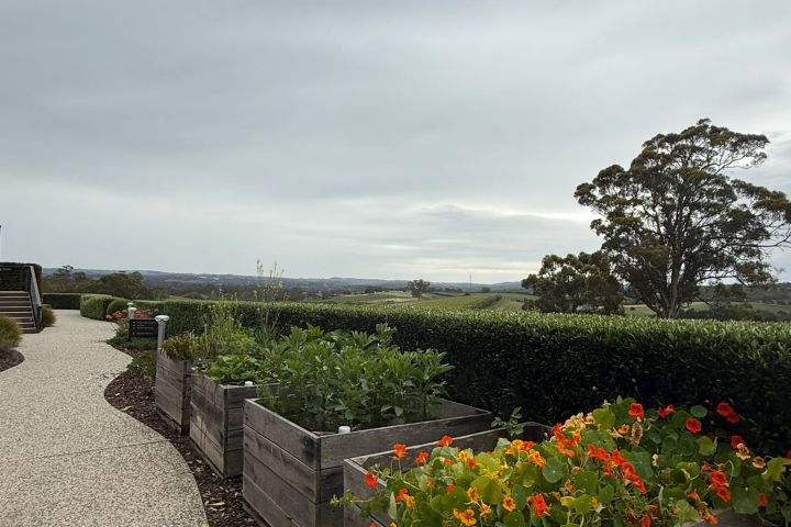 Wooden planters with orange flowers and greenery beside a pathway under a cloudy sky.