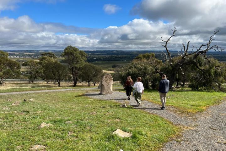 Group walking on a path through grassy landscape with scattered trees and cloudy sky.
