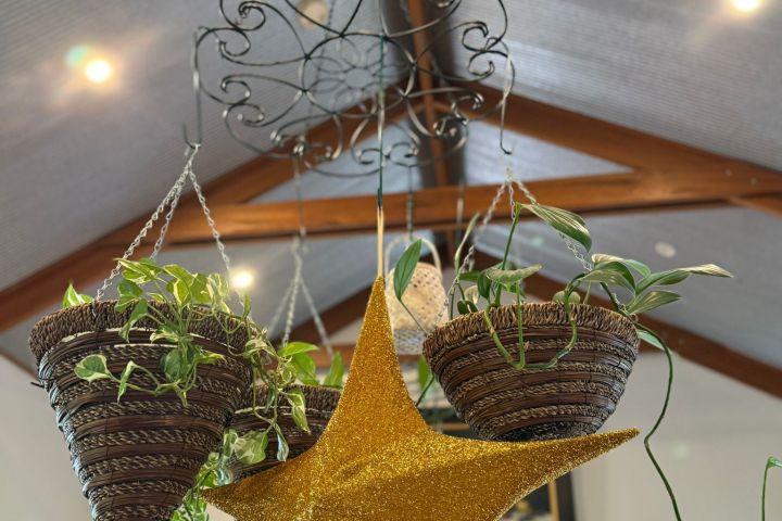 Hanging plants and a glittery gold star suspended from a ceiling with wooden beams.