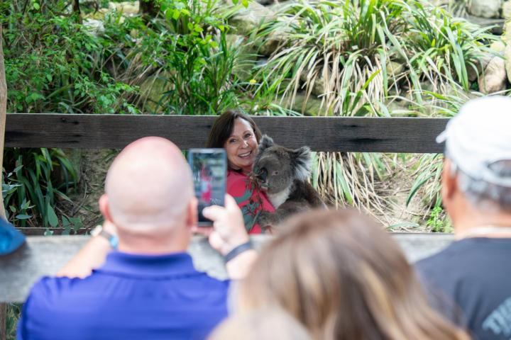 Woman holding a koala, people taking photos in a lush, green setting.