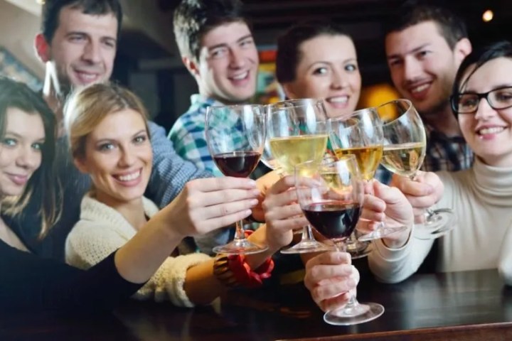 Group of people raising wine glasses in a cheerful toast at a bar.