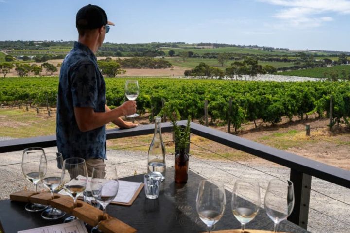 Person with glass of wine looking at vineyard from a balcony.
