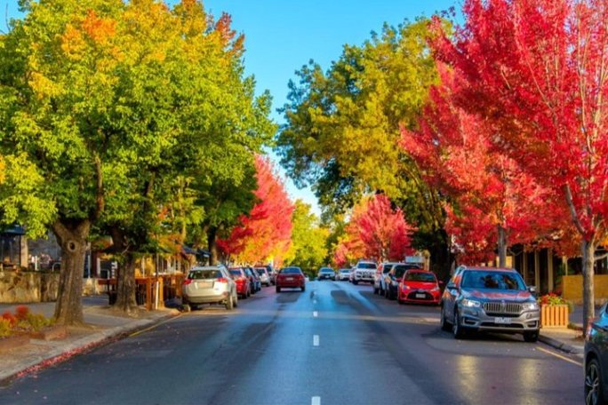 a car is lined up on the street