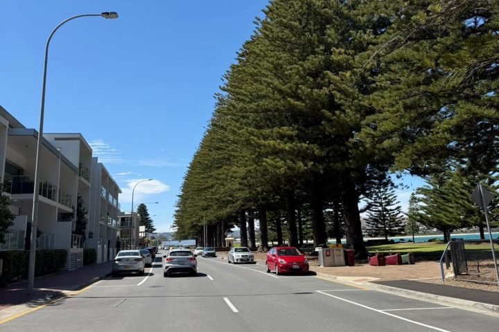 Street with cars, trees lining the road, under a clear blue sky.