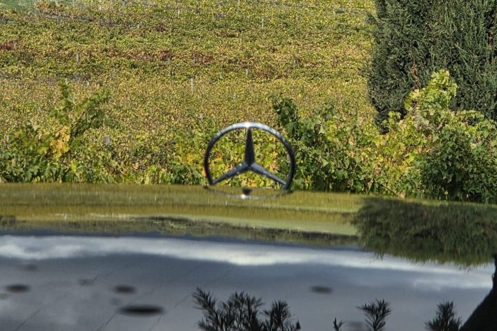 Car hood with emblem overlooking vineyard and cloudy sky.